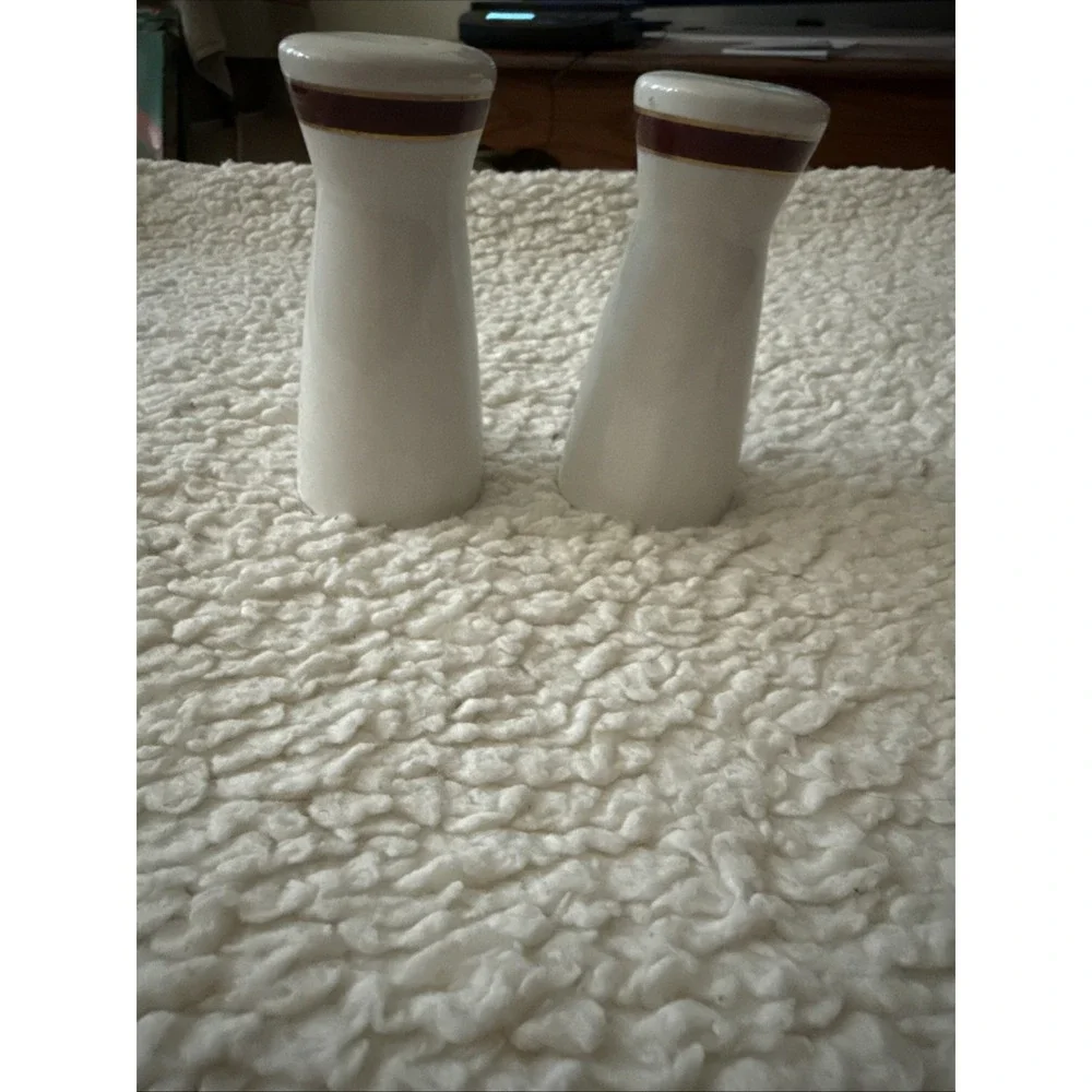 Art Deco Salt and Pepper Shakers Cream with Brown Ring Tapered 4